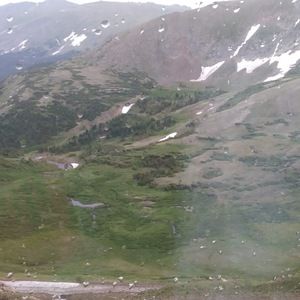 Meet your Posher, Sharnett